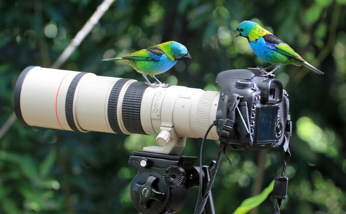 abunawaf.com_wp_content_uploads_2015_01_17__D8_AD_D9_8A_D9_88_3c2efeabbdfe349c981b7b4071a2a525.jpg