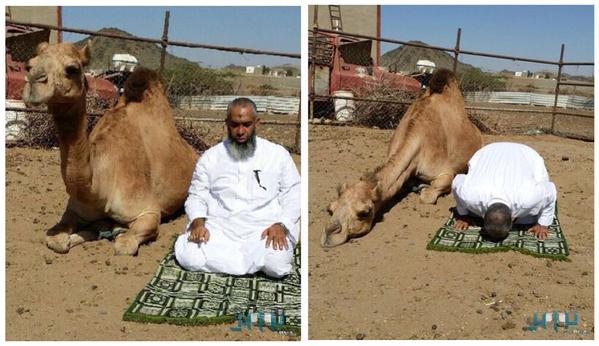 abunawaf.com_wp_content_uploads_2015_01__D8_B5_D9_88_D8_B1__D8_AA_D9_88_D9_8A_D8_AA_D8_B1_621.jpg