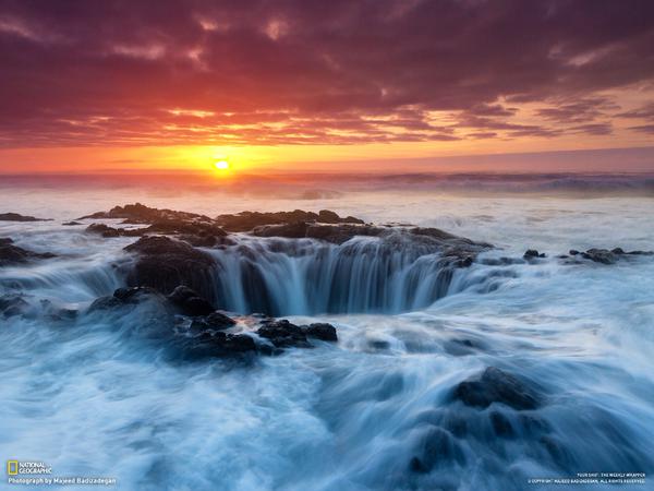abunawaf.com_wp_content_uploads_2015_02__D8_B5_D9_88_D8_B1__D8_AA_D9_88_D9_8A_D8_AA_D8_B1_316.jpg