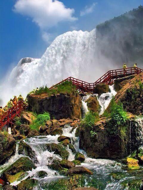 abunawaf.com_wp_content_uploads_2015_02__D8_B5_D9_88_D8_B1__D8_AA_D9_88_D9_8A_D8_AA_D8_B1_915.jpg