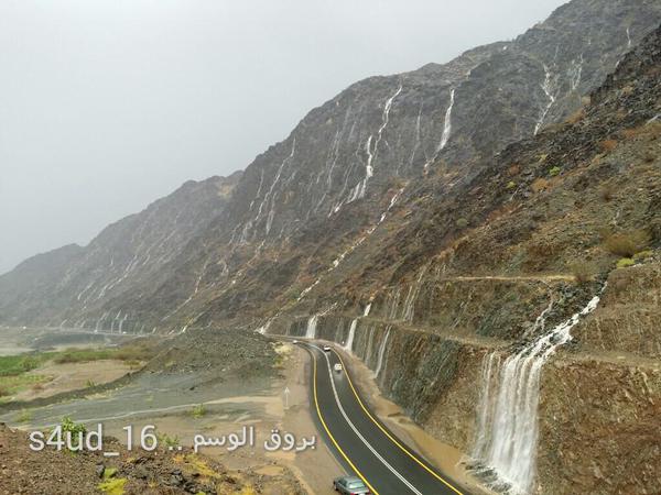 abunawaf.com_wp_content_uploads_2015_03__D8_B5_D9_88_D8_B1__D8_AA_D9_88_D9_8A_D8_AA_D8_B1_129.jpg