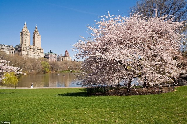 abunawaf.com_wp_content_uploads_2015_04__D8_B3_D9_86_D8_AA_D8_097df1f0a2eab80465c8eb2590c149e7.jpg