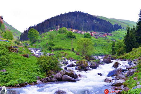 abunawaf.com_wp_content_uploads_2015_05__D8_A3_D9_88_D8_B2_D9_86_D8_AC_D9_88_D9_842.jpg