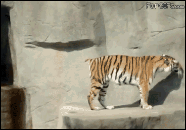 abunawaf.com_wp_content_uploads_2015_05__D8_B7_D9_8A_D9_88_D8_B1_2.gif