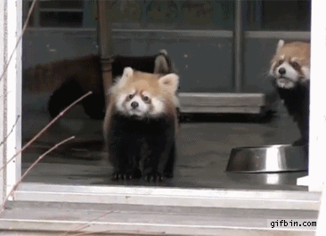 abunawaf.com_wp_content_uploads_2015_07__D8_B1_D8_A7_D9_83_D9_88_D9_86_6.gif