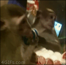 abunawaf.com_wp_content_uploads_2015_07__D9_82_D8_B1_D8_AF_8.gif