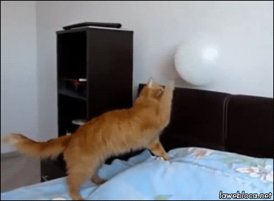 abunawaf.com_wp_content_uploads_2015_07__D9_82_D8_B7_D8_A9_111.gif