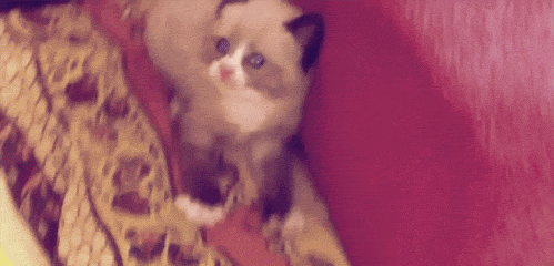 abunawaf.com_wp_content_uploads_2015_07__D9_82_D8_B7_D8_A9_22.gif