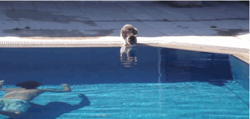 abunawaf.com_wp_content_uploads_2015_07__D9_82_D8_B7_D8_A9_91.gif