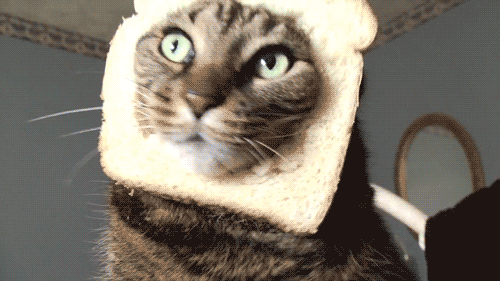 abunawaf.com_wp_content_uploads_2015_10__D9_82_D8_B7_D8_A9_10.gif