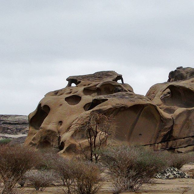 abunawaf.com_wp_content_uploads_2015_11_1__D9_87_D8_B6_D8_A7_D02a407eedfcb08e535637847e3004d60.jpg