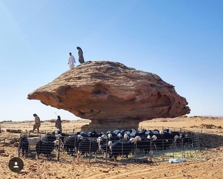 abunawaf.com_wp_content_uploads_2015_11_3__D8_B1_D8_AD_D8_A7_Dfdcb3f816a3c0f09dbd9ef5adee5c5d8.jpg