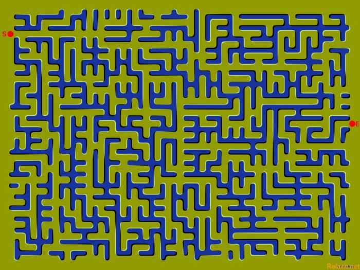 brainden.com_images_moving_maze_illusion.jpg