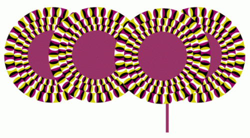 brainden.com_images_static2.gif
