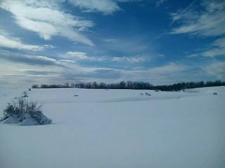 fb_s_d_a.akamaihd.net_h_ak_xlf1_v_t1.0_0_p240x240_16195104_18406a6ade63217fca24c834a3c90ec68b9.jpg