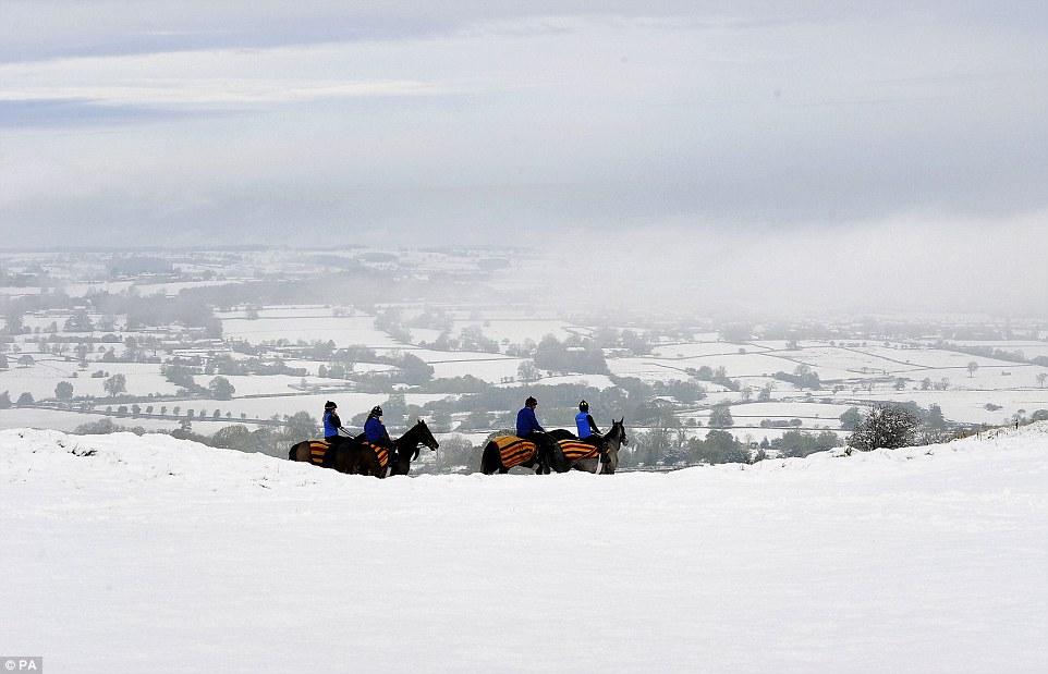 i.dailymail.co.uk_i_pix_2016_11_09_14_3A344E0300000578_3919426_image_a_122_1478702071643.jpg