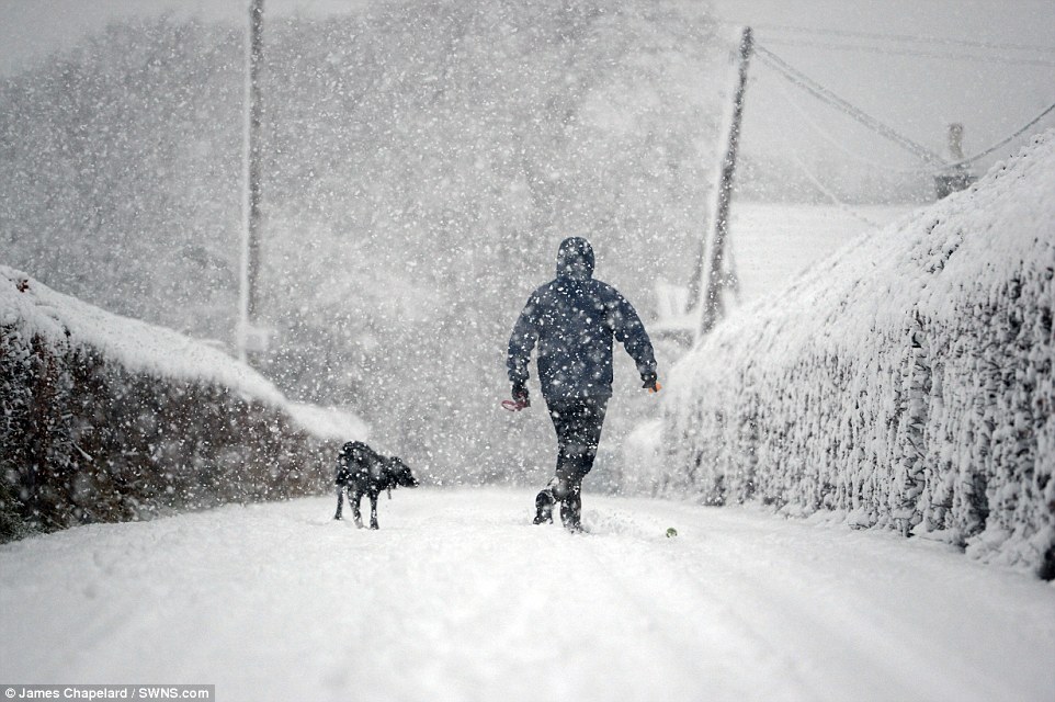 i.dailymail.co.uk_i_pix_2017_01_12_12_3C1281D900000578_4111744_image_a_111_1484223065585.jpg