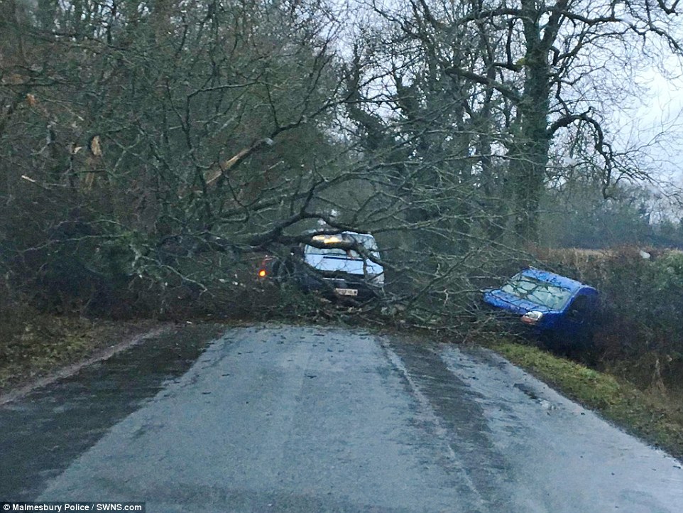 i.dailymail.co.uk_i_pix_2017_02_02_17_3CC3DA1200000578_4183768_image_a_45_1486055577719.jpg