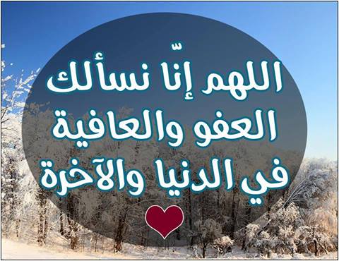 i.myegy.to_images_6f505d478af9.original.jpeg