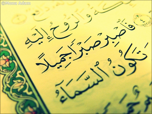 muslim_academy.com_http___muslim_academy.com_wp_content_uploads_2012_09_Patience_verse1.jpg