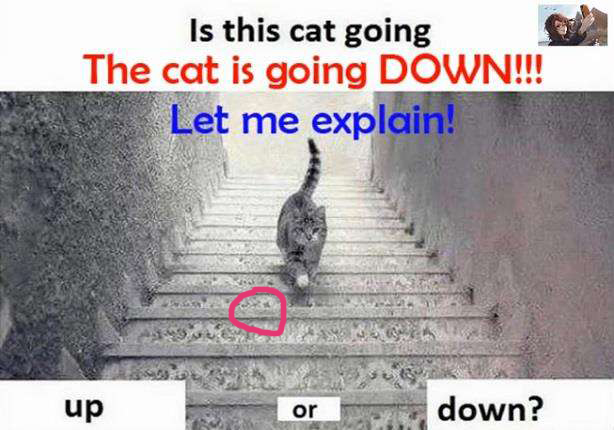 oi62.tinypic.com_t87qz7.jpg