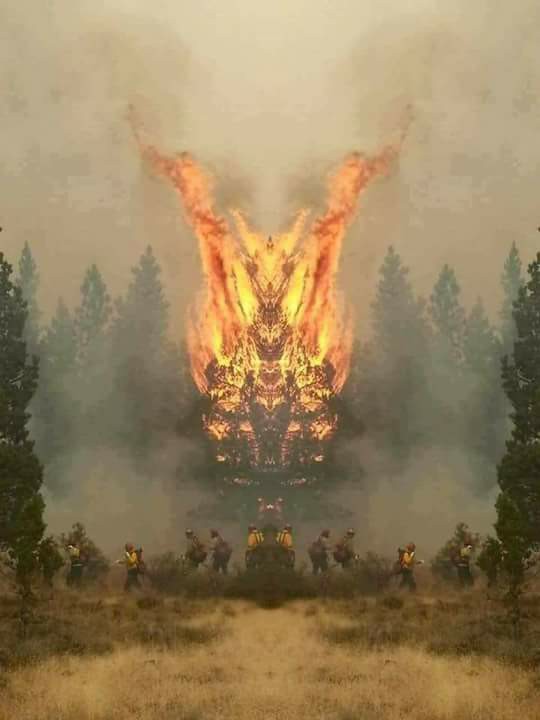 scontent.ffjr1_3.fna.fbcdn.net_v_t1.0_9_22491534_88296408187860c2dff6a246c514d63c4e4049d48635c.jpg