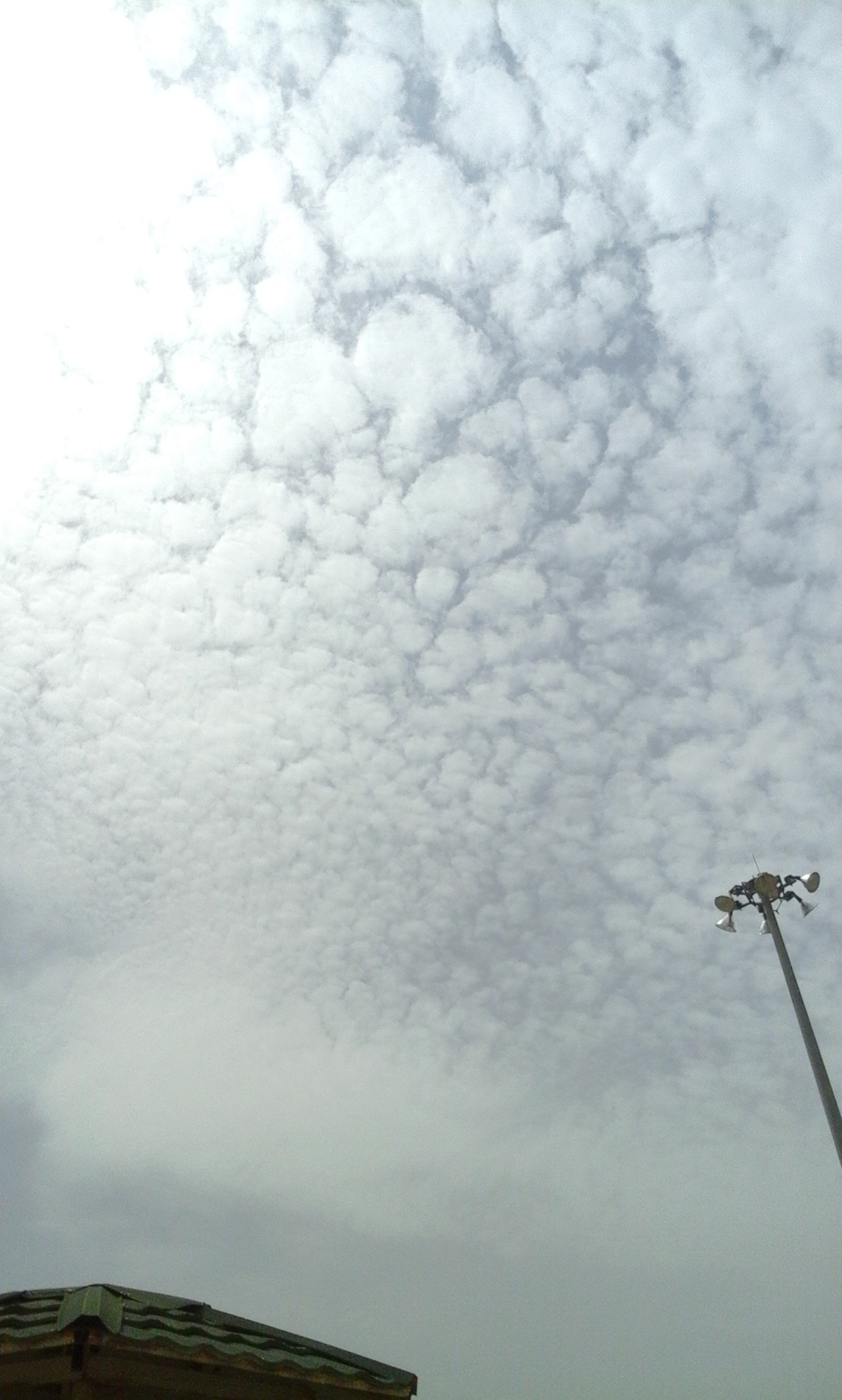 store2.up_00.com_2016_07_1469326405591.jpg