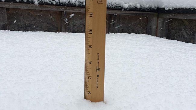 vortex.accuweather.com_adc2004_pub_includes_columns_newsstory_2016_650x366_11201407_image3.jpg