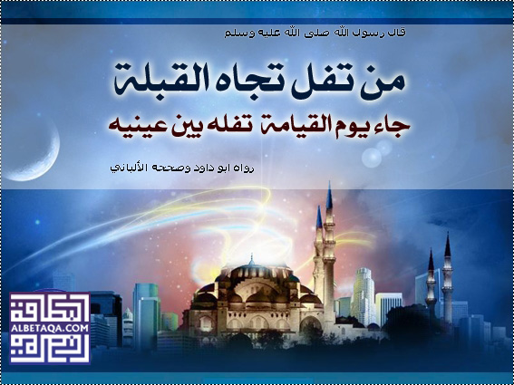 www.albetaqa.com_data_albetaqa_011Masjed_Masjed_m_Msajed0087.jpg