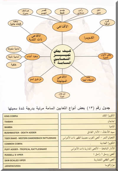 www.alhadeeqa.com_vb_imgcache_2008_02_52.jpg