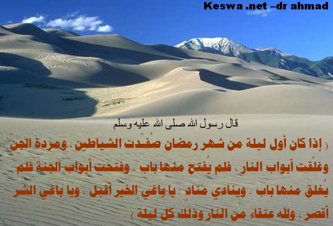 www.keswa.net_sty3_2009_wp_rmd_ro2.jpg