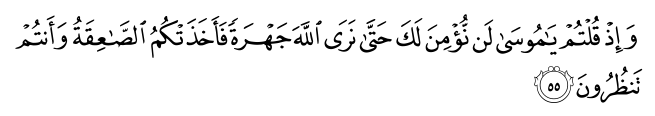 www.quranflash.com_assets_verses_2_55.png