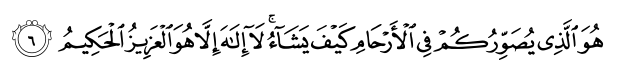 www.quranflash.com_assets_verses_3_6.png