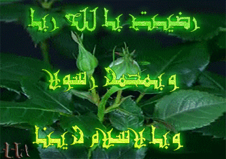 www.shy22.com_upfilgif_zpg42983.gif