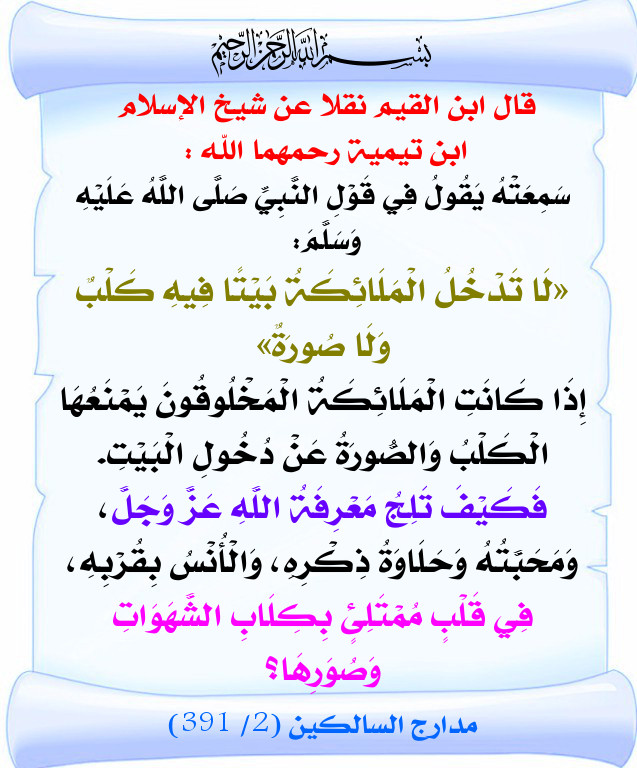 www_albaidha_net_vb_attachment_php_bb4867a6c0499dd24f6169656d1b81e0._.jpg