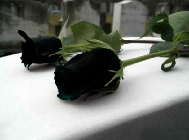 www_naseej_net_getattachment_29867689_83d7_422d_88d2_503cd9a4e85e_15_jpg_aspx_.jpg