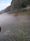 IMG_20181217_160306.jpg