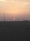 IMG_20200607_190237.jpg