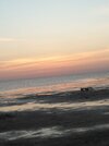 IMG_20200702_192633.jpg