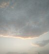 IMG_20200629_054526.jpg