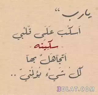 i_4bf7a3d2380.jpg