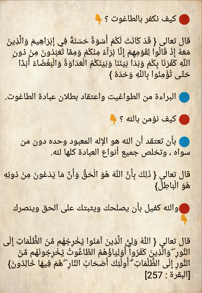 2WB7o7e