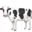 🐄