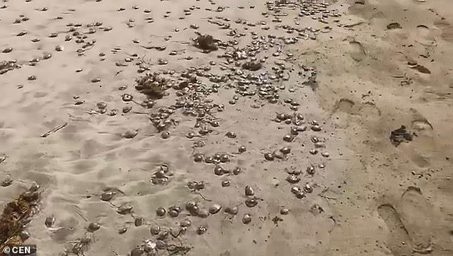 20190713060720246.jpg
