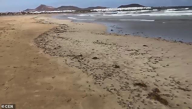 20190713060753927.jpg