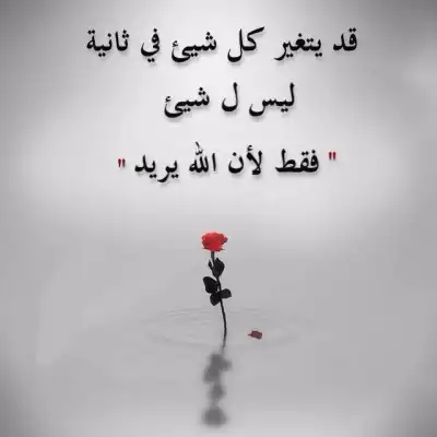 i_3d7501095c0.jpg