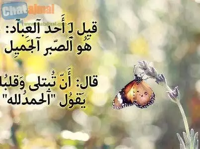 i_3b47394f1b0.jpg