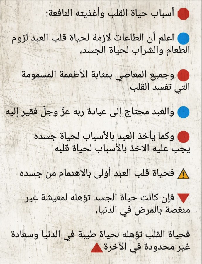 2NSQSfq