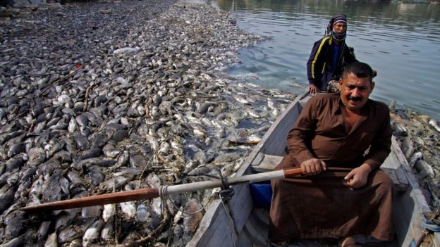 _104158916_gettyimages-1056411360.jpg