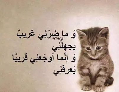 i_a43f3ffc9b0.jpg